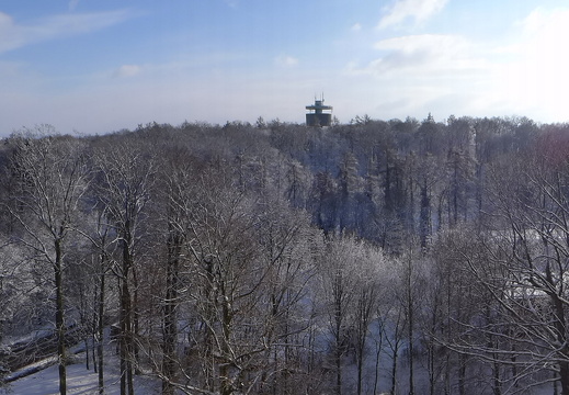 14-12-28-bergwald im schnee-16