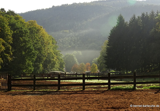 Kandel, Silz, Wörth