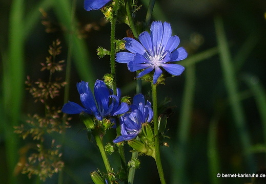 Karlsruhe - Landkreis
