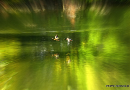 14-10-03-duesseldorf-ostpark-124