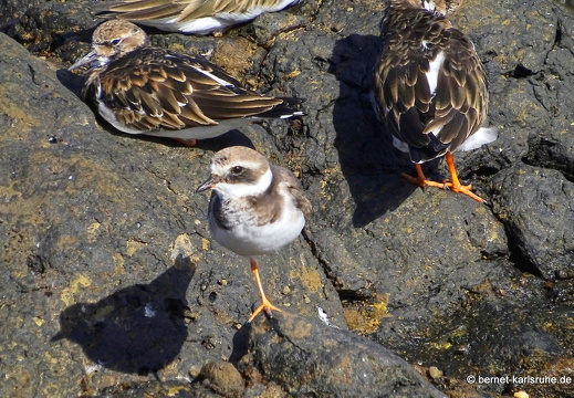 24-01-26-arinaga-003