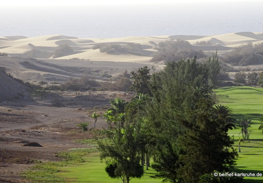 24-01-25-maspalomas-botanischer garten -042