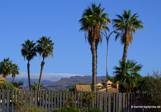 24-01-20-maspalomas-Tony Gallardo Park-005