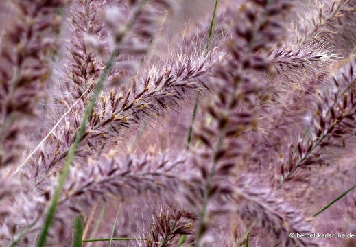 24-01-24-arinag-barranco de balos