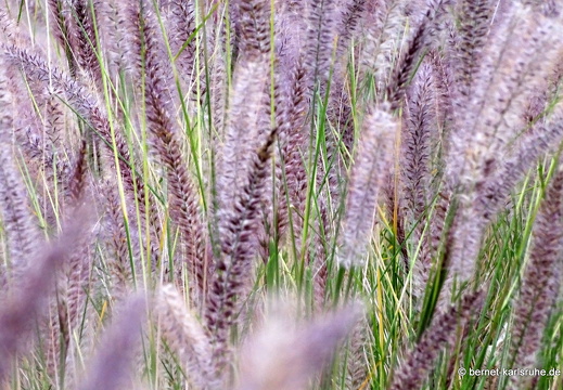 24-01-24-arinag-barranco de balos-001