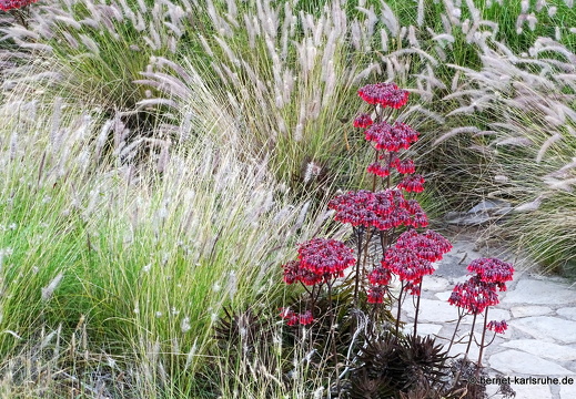 24-01-24-arinag-barranco de balos-004
