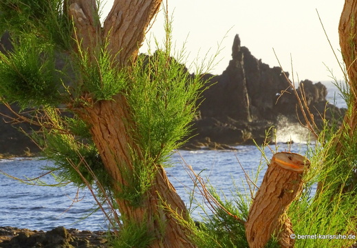 24-01-26-arinaga-020