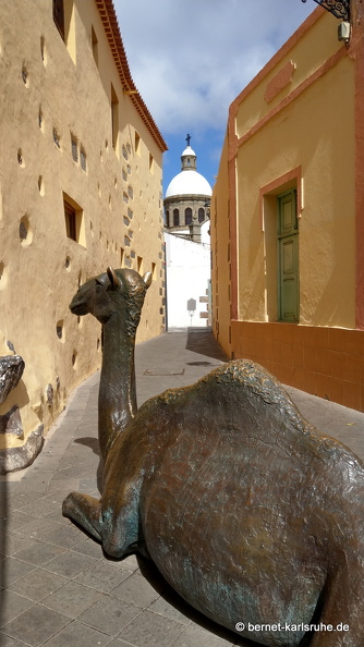 24-03-01-agueimes-028.jpg