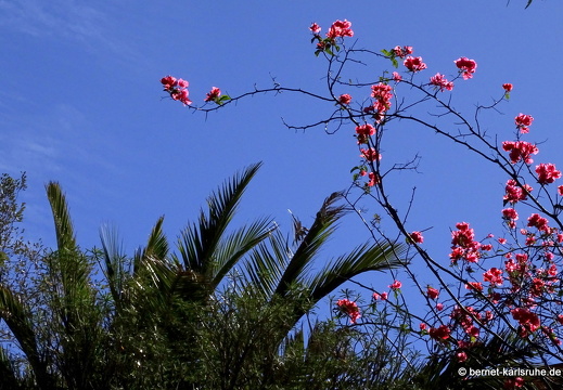 24-02-29-san-bartholome-213