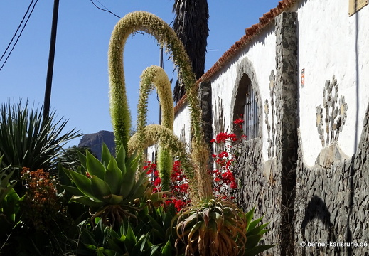 24-02-29-san-bartholome-174