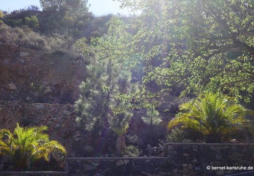 24-02-29-san-bartholome-153