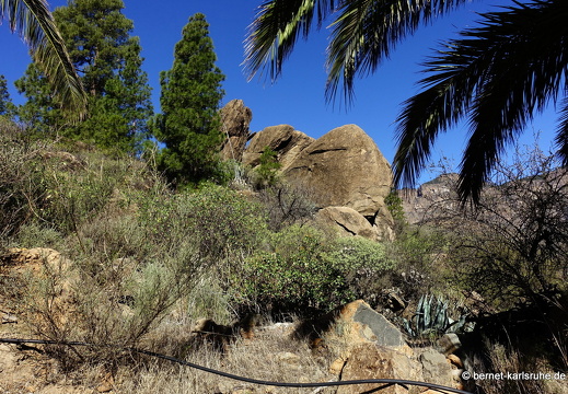 24-02-29-san-bartholome-146