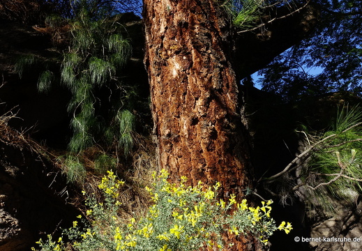 24-02-29-san-bartholome-145