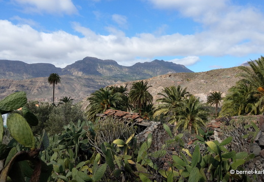 24-03-04-santa lucia-112