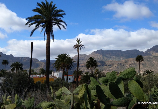 24-03-04-santa lucia-111