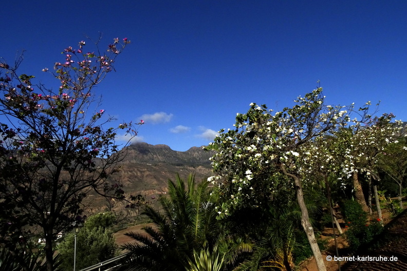 24-03-04-santa lucia-kapok-011.jpg