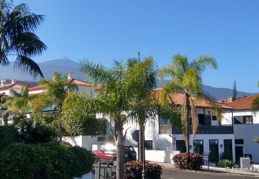 22-11-21-pdlc-barranco martianez-teide-
