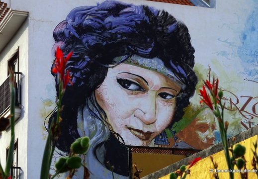 22-11-06-pdlc-la ranilla-calle mequinez-wandmalerei-graffito-