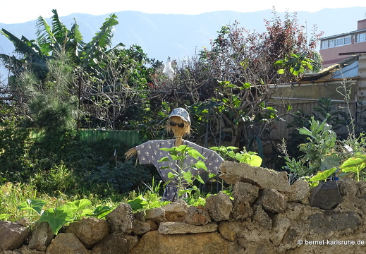 22-12-13-losrealejos-059