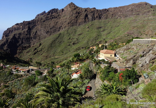 22-11-22-masca-072