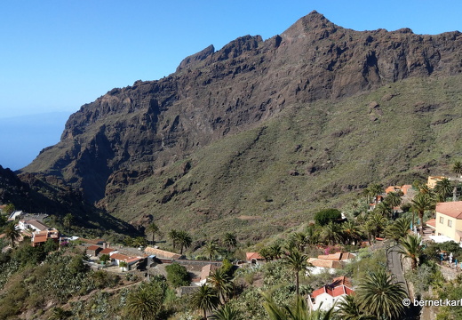 22-11-22-masca-077