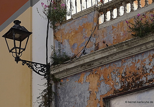 22-11-17-orotava--072