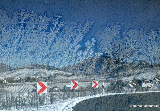 22-01-12-collage-eisblumen-010