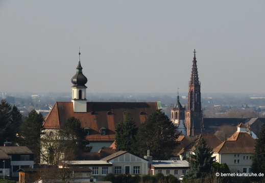 22-03-23-weinberge-aussicht auf buehl-kirche-001