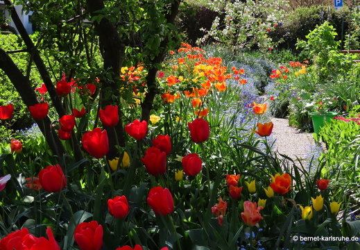 22-04-16-imgruen-tulpengarten-010