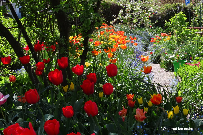 22-04-16-imgruen-tulpengarten-010.JPG