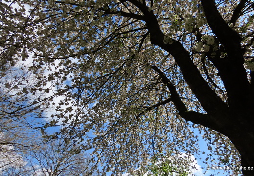 22-04-16-rotkreuzstrasse-