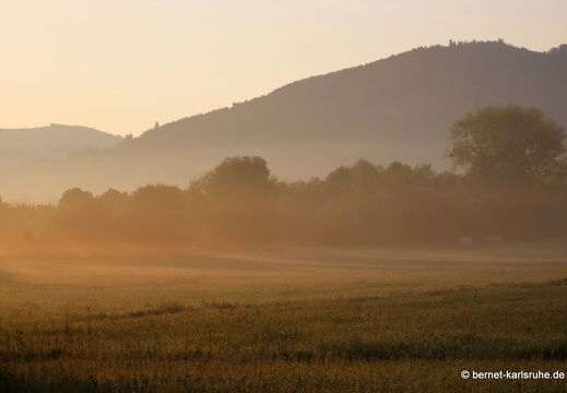 22-05-02-morgenspaziergang-alteb3-002