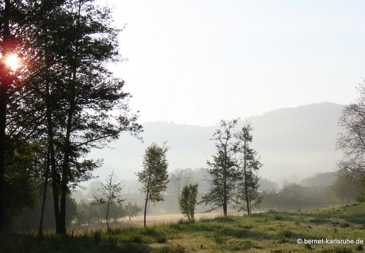 22-05-02-morgenspaziergang-alteb3-038
