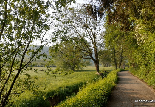 22-05-02-morgenspaziergang-alteb3-042