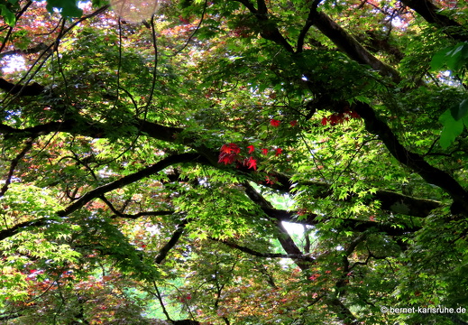 22-05-02-stadtgarten-001