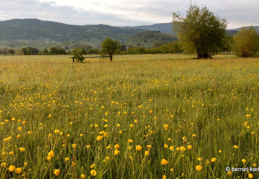 22-05-04-rittersbach-alteb3-002