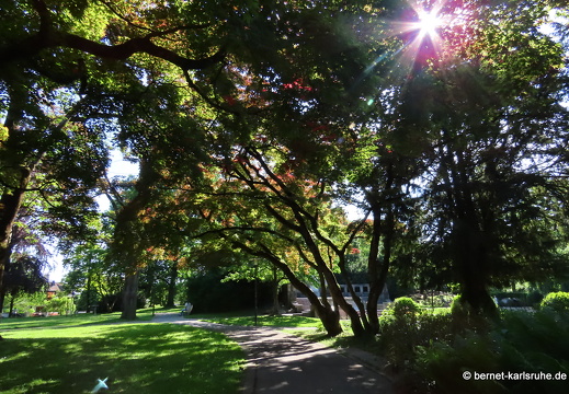 22-05-15-stadtgarten-002