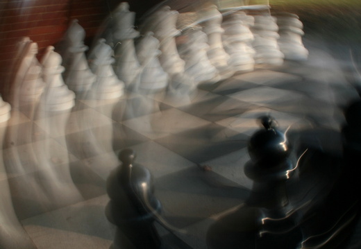 09-02-03-zoo-schach-25