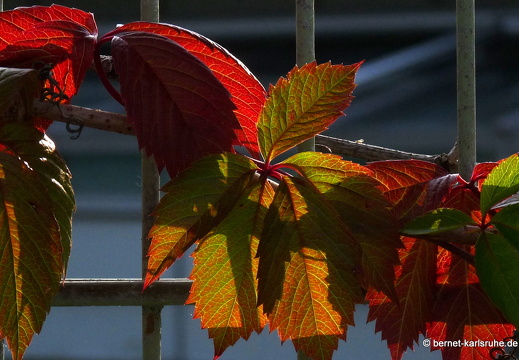 09-07-01-ums-staedt-klinikum 078