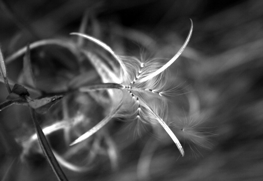 09-09-08-jva-garten- 084