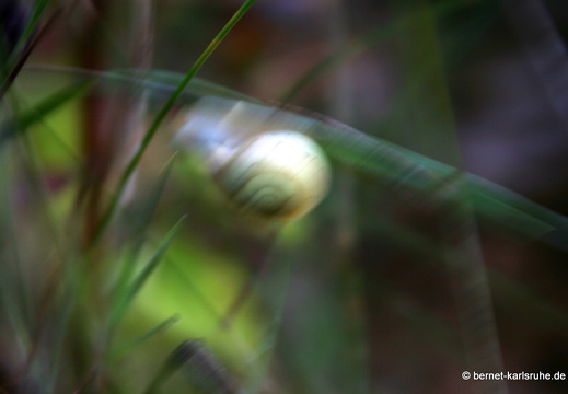 09-09-09-jva-garten- 149