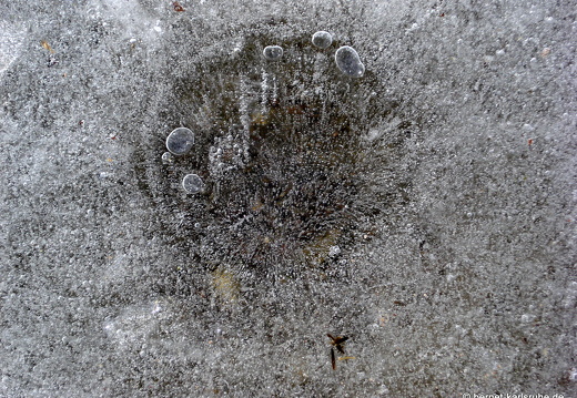 09-01-26-alb-eisbilder-winterimpression25