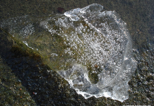 09-01-26-alb-eisbilder-winterimpression36