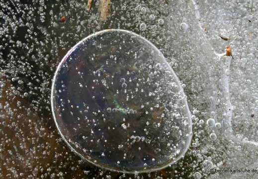 09-01-26-alb-eisbilder-winterimpression99