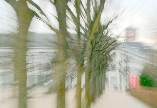 09-02-02-schloss-bäume-6