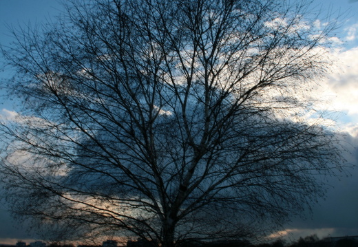 09-02-12-alter-flughafen-25