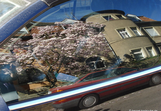 09-04-09-annette-bernd-magnolie-auto-6