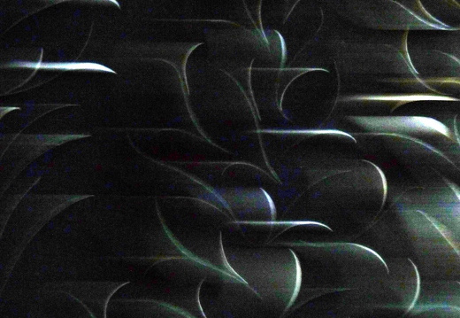 09-06-16-bluetenpracht-120