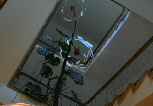 09-06-16-bluetenpracht-181