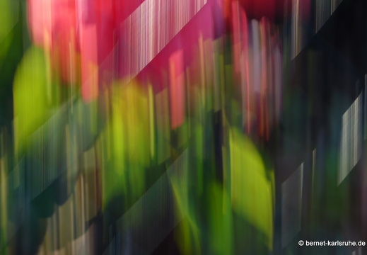 09-06-26-oberersee 028